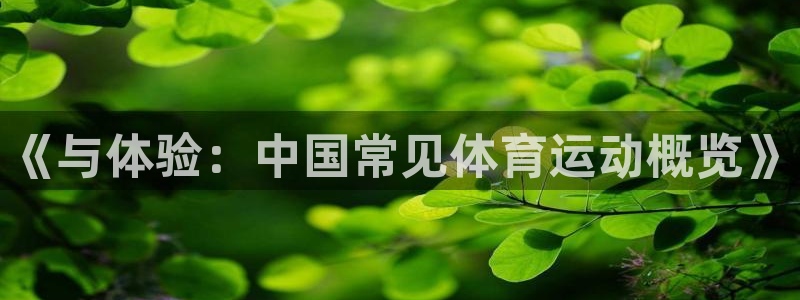 vsport体育官网下载平台是正规平台吗:《与体验:中国常见