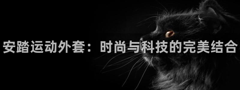 vsport体育官网下载招商电话号码是多少啊:安踏运动外套: