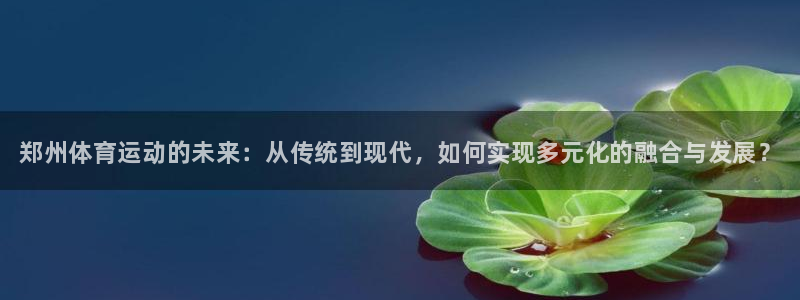 vsport体育官方正版app开户:郑州体育运动的未来:从传