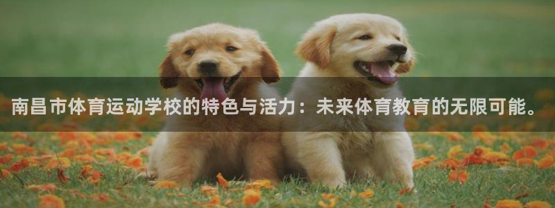 vsport体育官网下载注册:南昌市体育运动学校的特色与活力