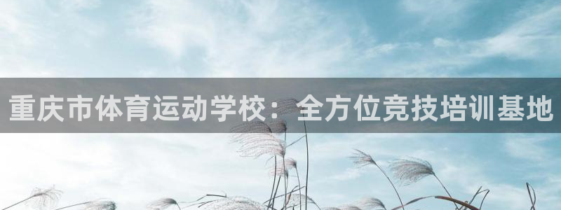 vsport体育官方正版app娱乐首页官网下载:重庆市体育运