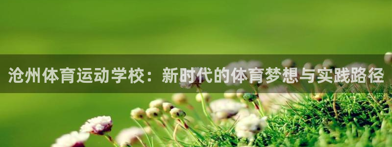 vsport体育官方正版app娱乐是那个系列的台子:沧州体育